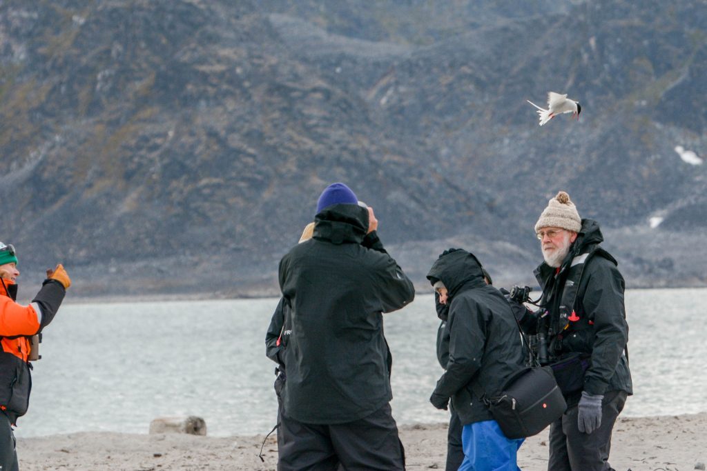 Luxify Review Scenic Eclipse Arctic Svalbard Reisebericht Arktis Spitzbergen